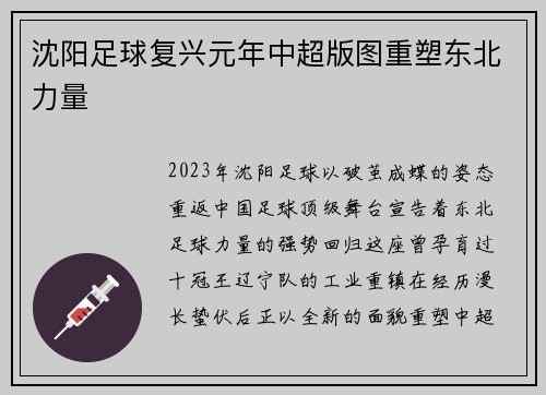 沈阳足球复兴元年中超版图重塑东北力量